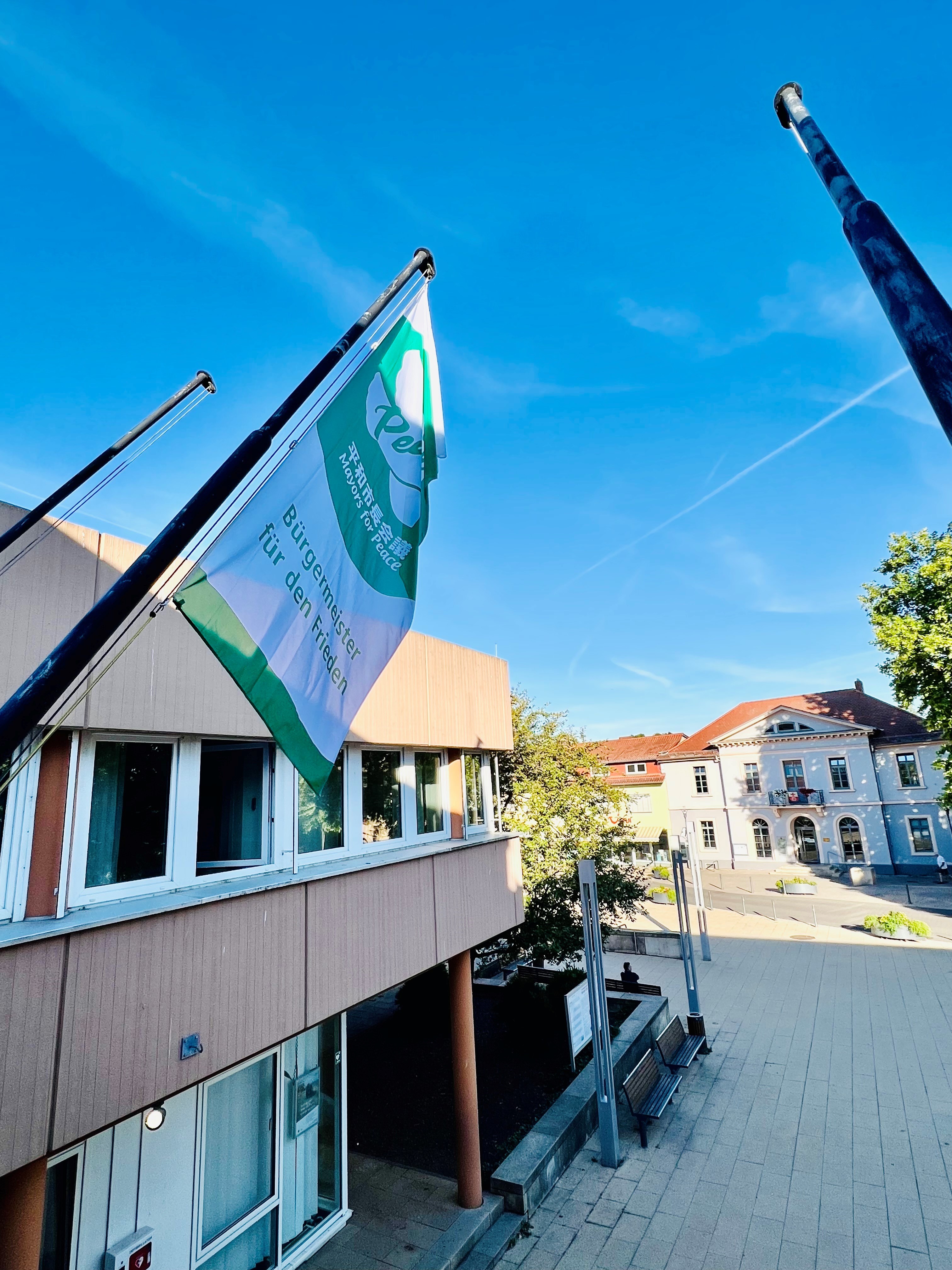 Fahne Mayors for Peace