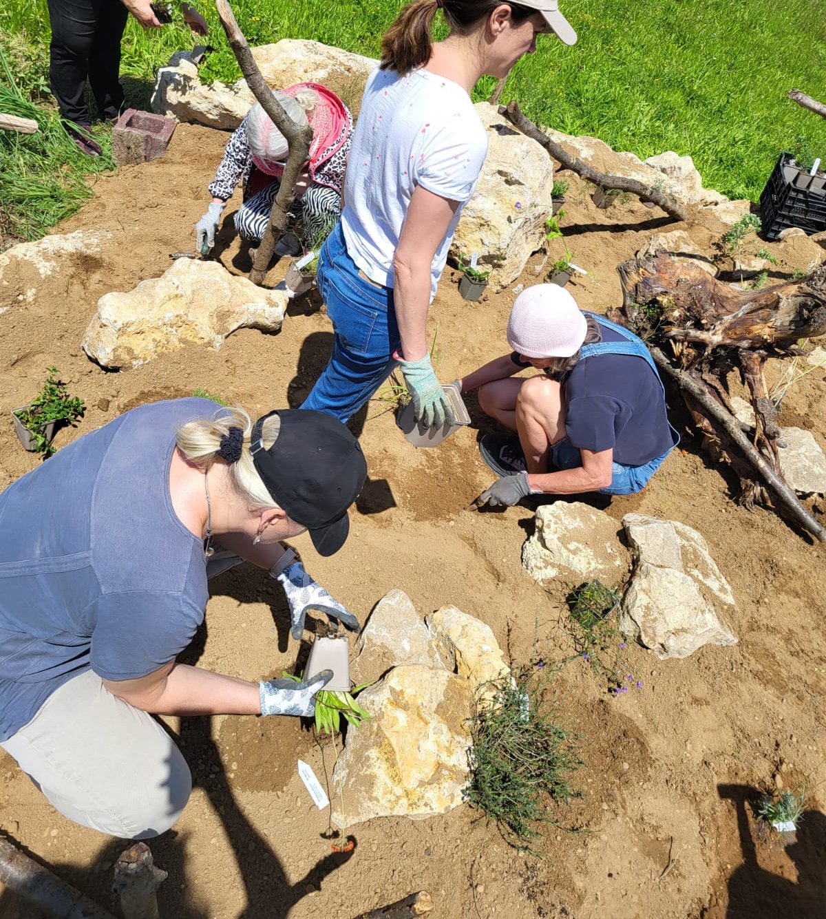 Auf dem Bild sieht man eine Gruppe von vier Personen. Diese stehen in einem Beet aus Sand und Stein. Sie tragen Gartenhandschuhe und setzen pflanzen verschiedene grüne Gewächse.