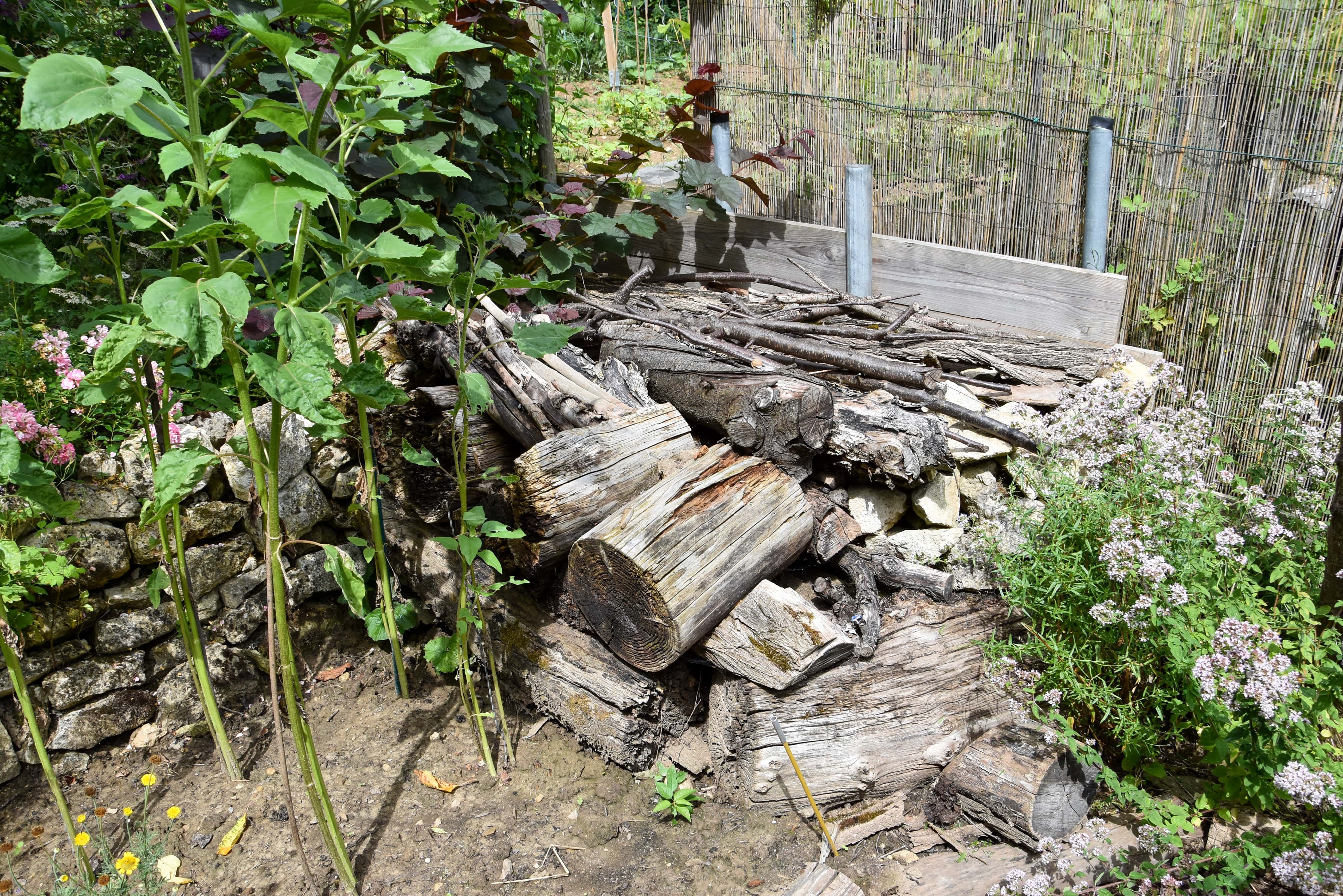 Auf dem Bild erkennt man einen Holzstapel. Dieser besteht aus Totholzelementen und ist somit ein Lebensraum für viele Insekten und Tierchen.