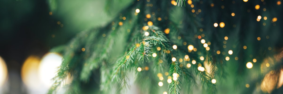 Christmas tree background