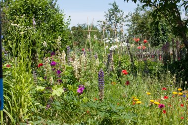 blühender Bauerngarten im Sommer