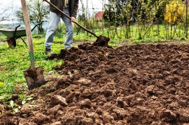 Umgegrabener Garten