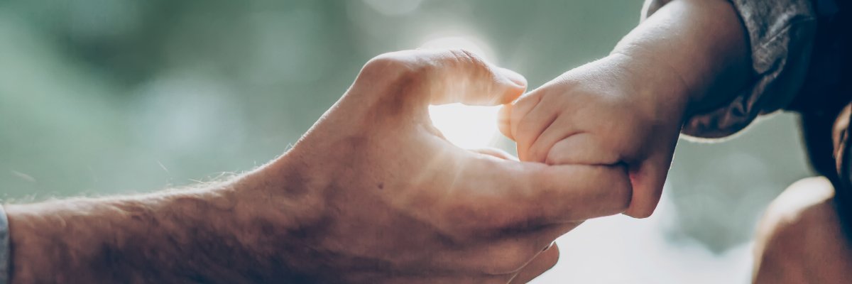 father and little son holding hands in sunlight. father's hand l Opa und Enkel reichen sich die Hand