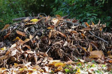 Reisighaufen im Naturgarten