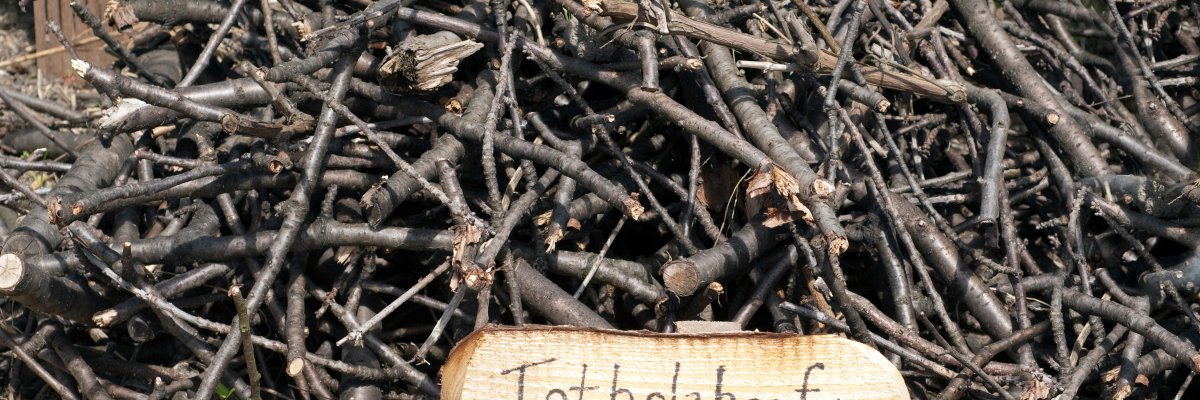 Totholz, Artenschutz, abgestorbene, Holz, Totholzhaufen