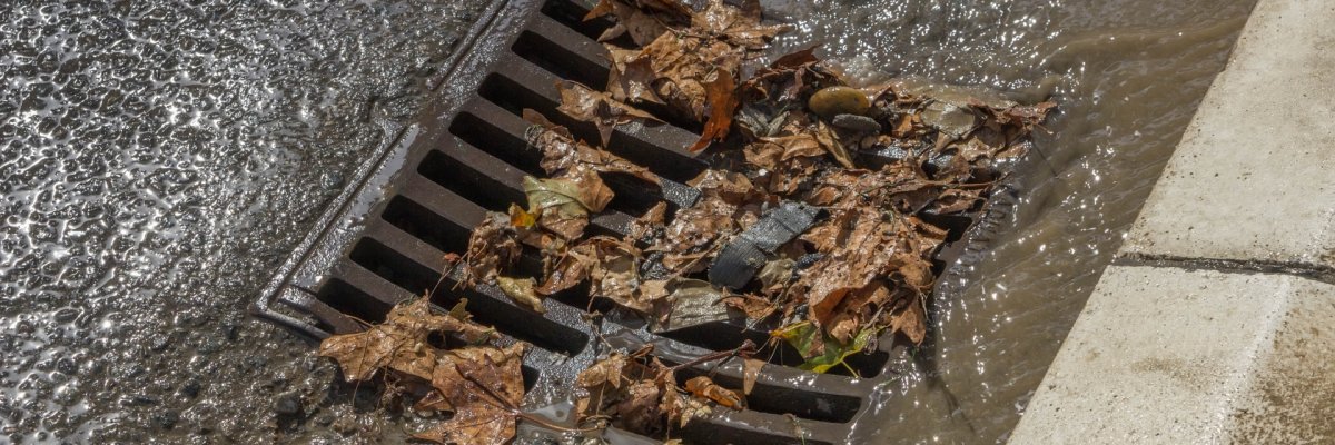 Auf dem Foto erkennt man einen verstopften Abfluss bzw. Sinkkasten