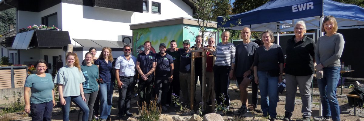 Entsiegelung "Am Bohrgrund" Entsiegelung "Am Bohrgrund"