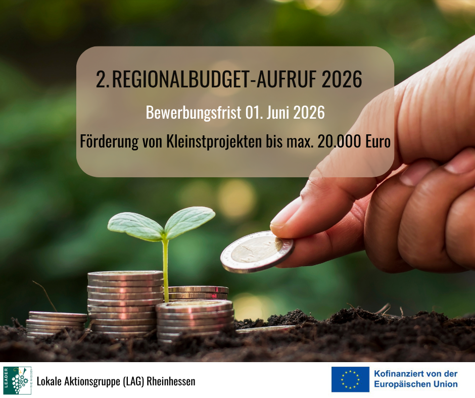Template 2. Regionalbudget-Aufruf 2026_01. Juni - 1