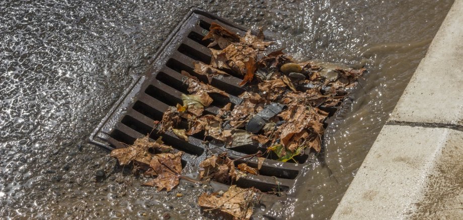 Auf dem Foto erkennt man einen verstopften Abfluss bzw. Sinkkasten